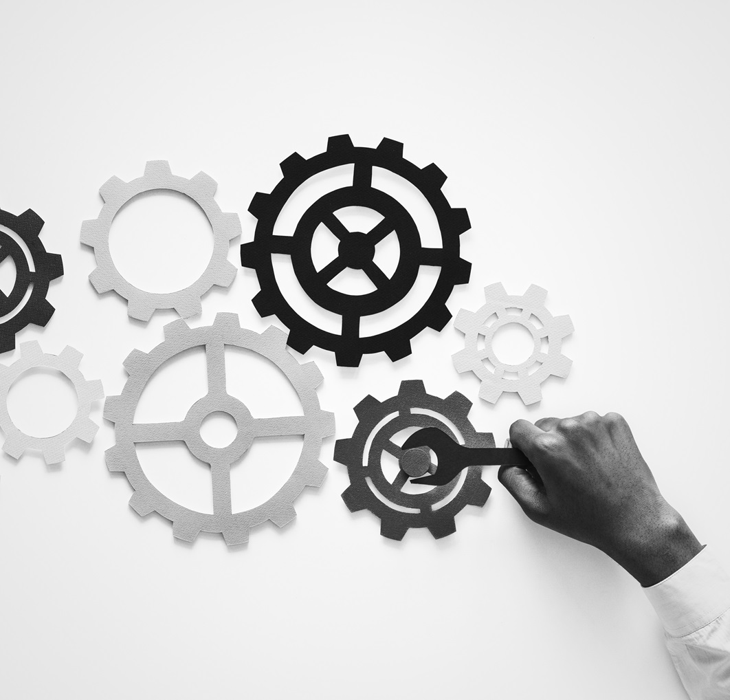 Linnexus consulting team